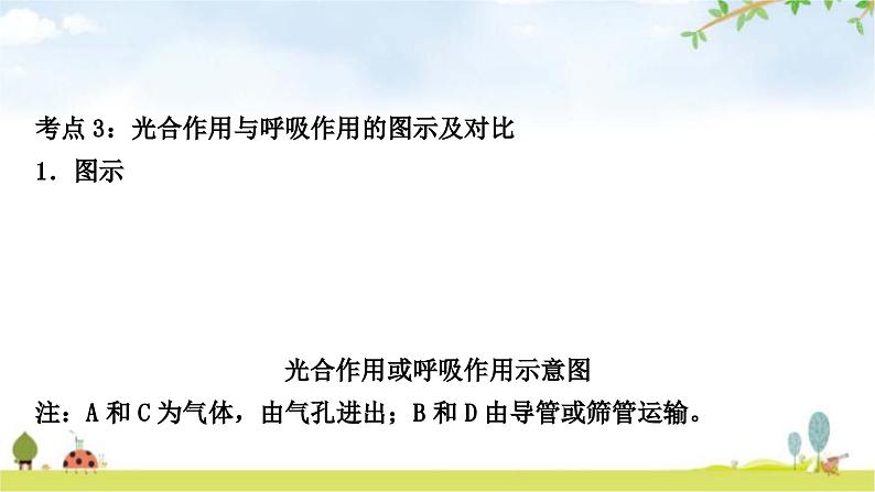 人教版中考生物复习主题三生物圈中的绿色植物第三节绿色植物的光合作用和呼吸作用教学课件08