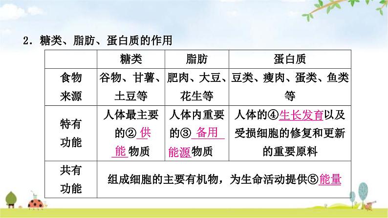 人教版中考生物复习主题四生物圈中的人第一节人的食物来源于环境教学课件04