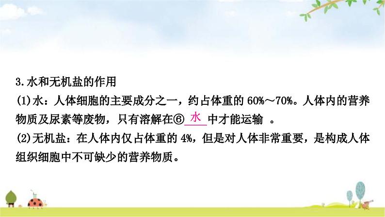 人教版中考生物复习主题四生物圈中的人第一节人的食物来源于环境教学课件05