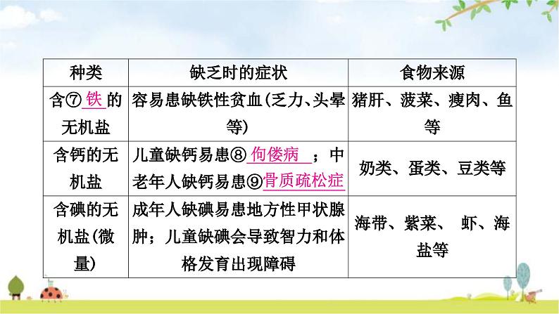 人教版中考生物复习主题四生物圈中的人第一节人的食物来源于环境教学课件06