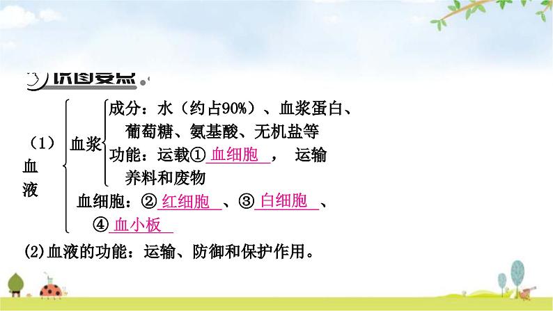 人教版中考生物复习主题四生物圈中的人第二节人体内物质的运输教学课件05