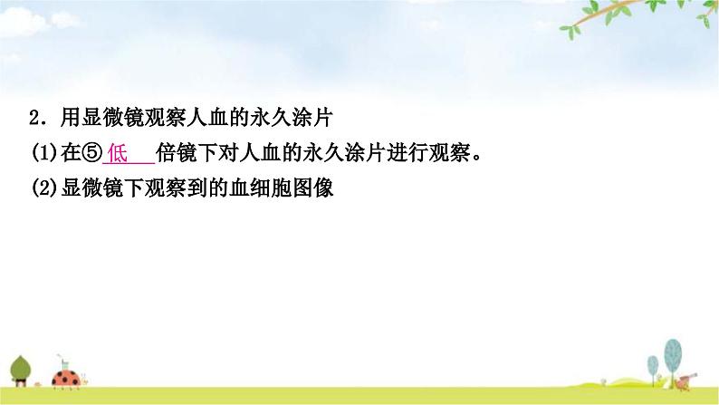 人教版中考生物复习主题四生物圈中的人第二节人体内物质的运输教学课件06