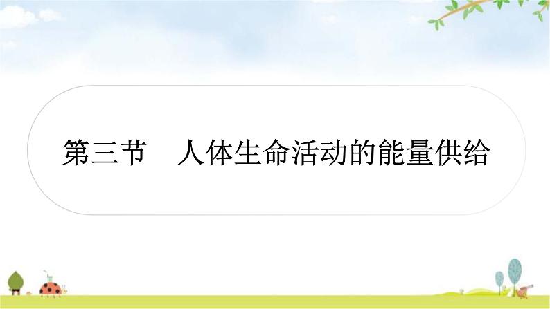 人教版中考生物复习主题四生物圈中的人第三节人体生命活动的能量供给教学课件第1页