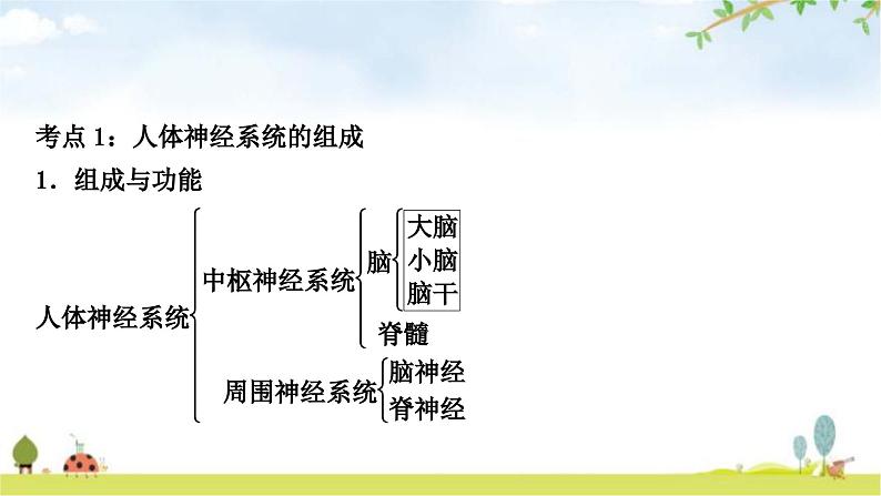 人教版中考生物复习主题四生物圈中的人第五节人体生命活动的调节教学课件第4页