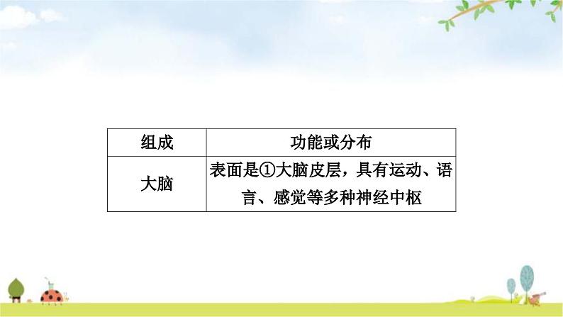 人教版中考生物复习主题四生物圈中的人第五节人体生命活动的调节教学课件第5页