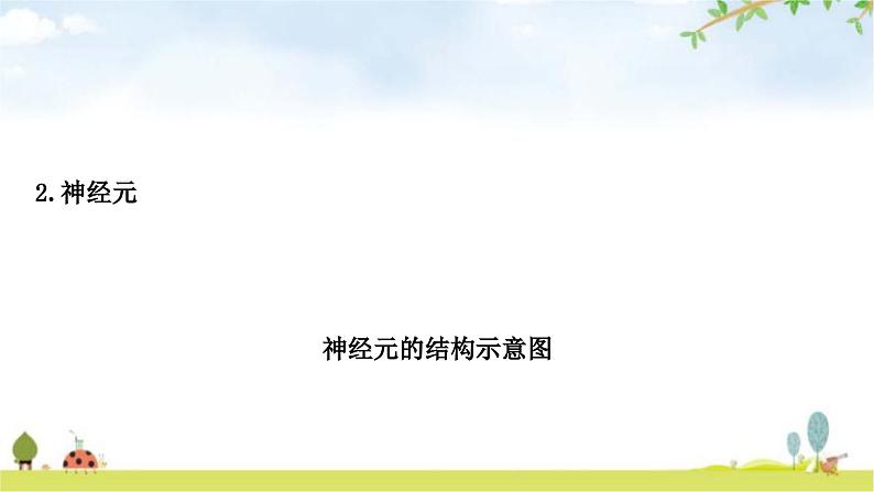 人教版中考生物复习主题四生物圈中的人第五节人体生命活动的调节教学课件第8页