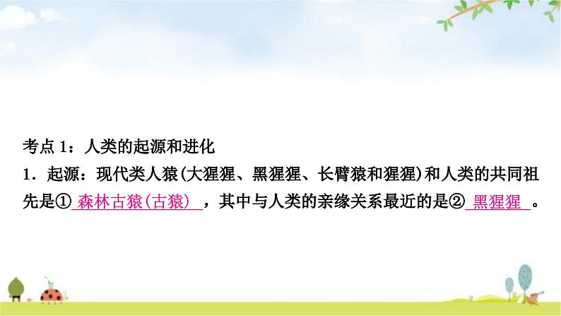 人教版中考生物复习主题四生物圈中的人第六节人是生物圈中的一员教学课件第4页