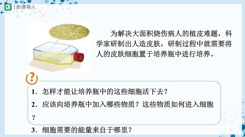 人教版七上生物   2.1.4 细胞的生活 课件+教案+练习+导学案02