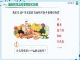 人教版七上生物   2.1.4 细胞的生活 课件+教案+练习+导学案