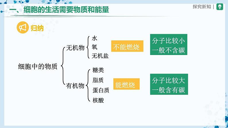 人教版七上生物   2.1.4 细胞的生活 课件+教案+练习+导学案06