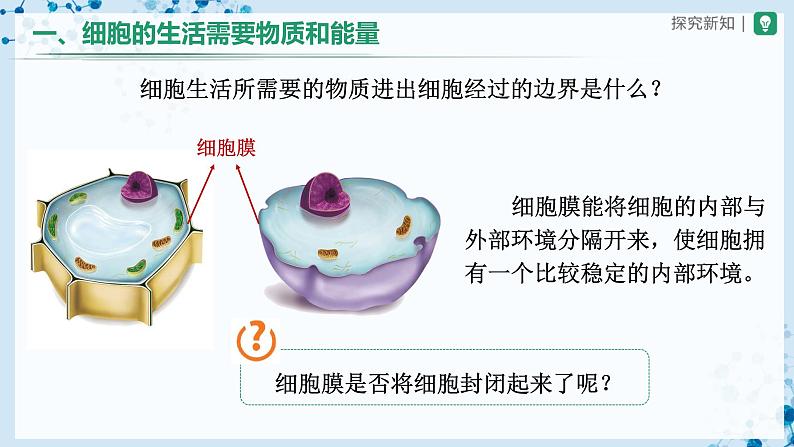 人教版七上生物   2.1.4 细胞的生活 课件+教案+练习+导学案07