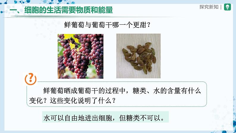 人教版七上生物   2.1.4 细胞的生活 课件+教案+练习+导学案08
