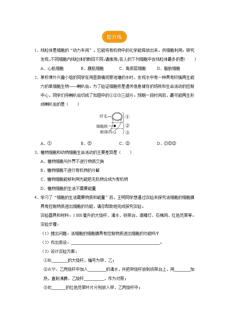 人教版七上生物   2.1.4 细胞的生活 课件+教案+练习+导学案02