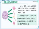 人教版七上生物   2.2.2 動(dòng)物體的結(jié)構(gòu)層次 課件+教案+練習(xí)+導(dǎo)學(xué)案