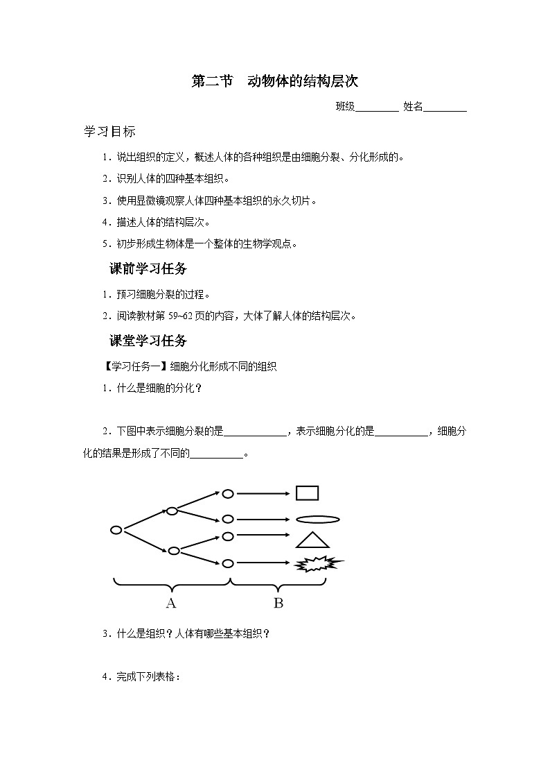 人教版七上生物   2.2.2 动物体的结构层次 课件+教案+练习+导学案01
