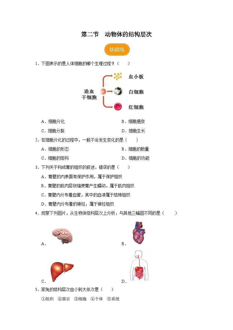 人教版七上生物   2.2.2 动物体的结构层次 课件+教案+练习+导学案01