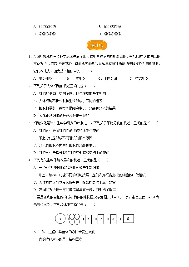 人教版七上生物   2.2.2 动物体的结构层次 课件+教案+练习+导学案02