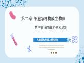 人教版七上生物   2.2.3 植物體的結(jié)構(gòu)層次 課件+教案+練習(xí)+導(dǎo)學(xué)案