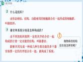 人教版七上生物   2.2.3 植物體的結(jié)構(gòu)層次 課件+教案+練習(xí)+導(dǎo)學(xué)案