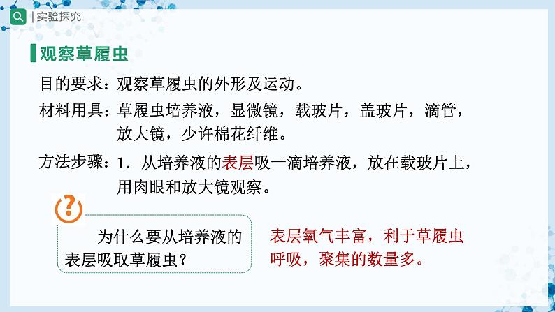人教版七上生物   2.2.4 单细胞生物 课件+教案+练习+导学案05