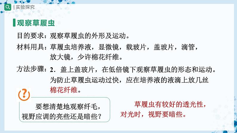 人教版七上生物   2.2.4 单细胞生物 课件+教案+练习+导学案06