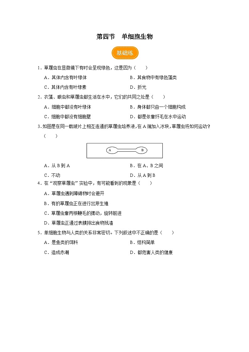 人教版七上生物   2.2.4 单细胞生物 课件+教案+练习+导学案01
