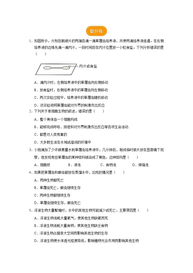 人教版七上生物   2.2.4 单细胞生物 课件+教案+练习+导学案02
