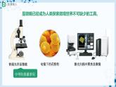 人教版七上生物   2.1.1 练习使用显微镜 课件+教案+练习+导学案