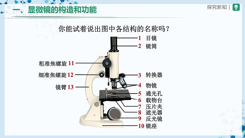 人教版七上生物   2.1.1 练习使用显微镜 课件+教案+练习+导学案04