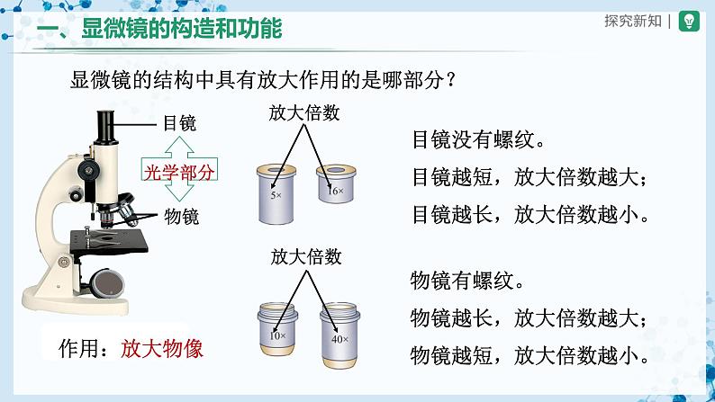 人教版七上生物   2.1.1 练习使用显微镜 课件+教案+练习+导学案05