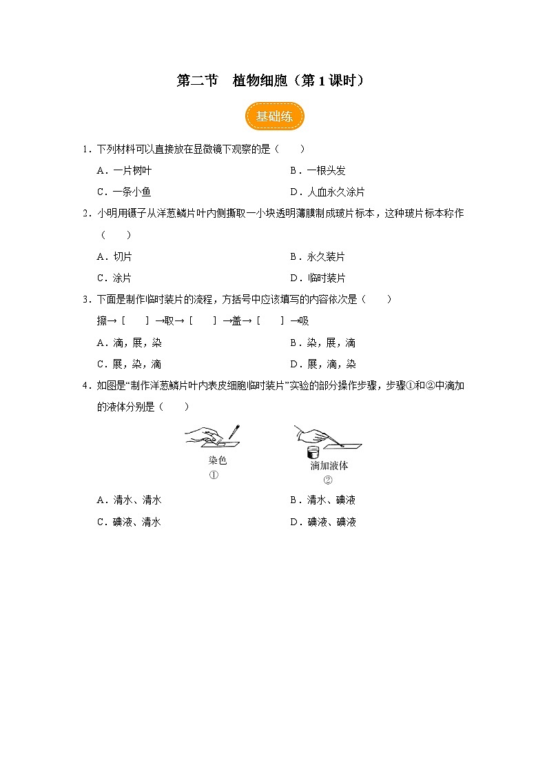 2.1.2 植物细胞（第1课时）（分层作业）第1页