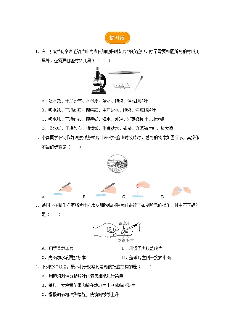 2.1.2 植物细胞（第1课时）（分层作业）第2页