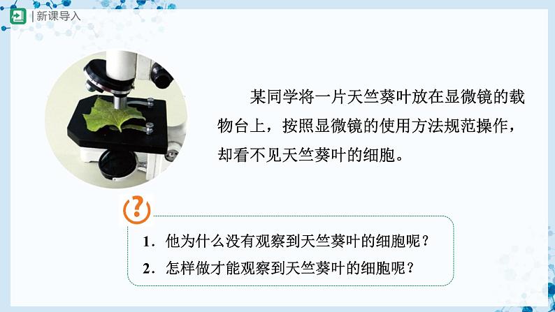 2.1.2 植物细胞（第1课时） 第2页