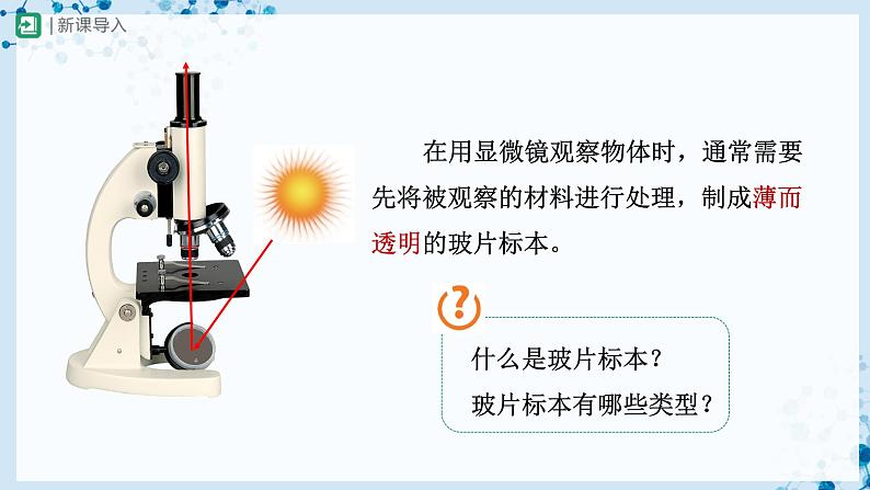 2.1.2 植物细胞（第1课时） 第3页