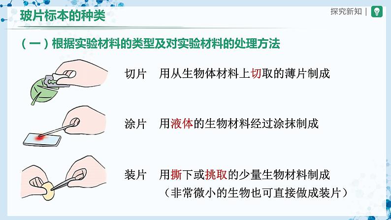 2.1.2 植物细胞（第1课时） 第4页