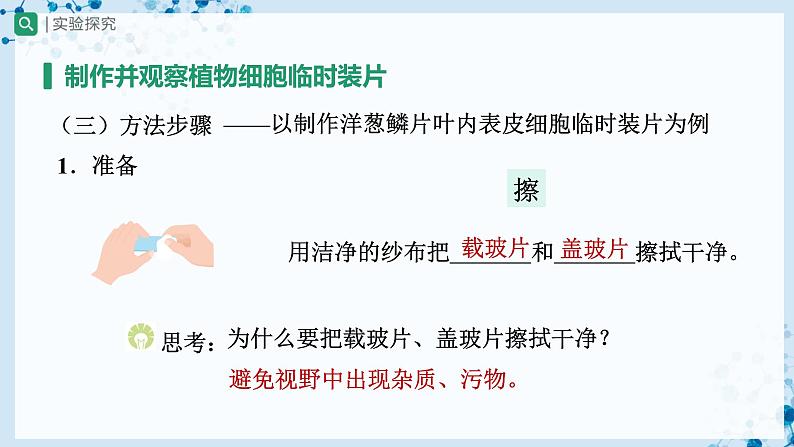 2.1.2 植物细胞（第1课时） 第7页