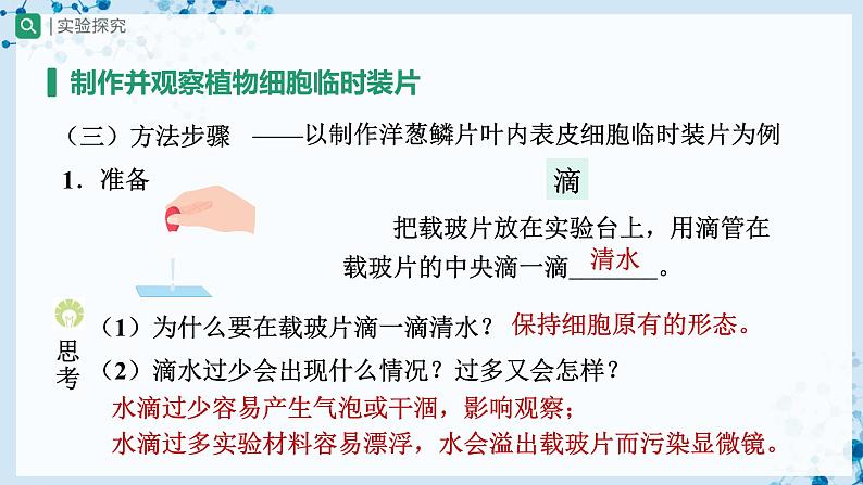 2.1.2 植物细胞（第1课时） 第8页