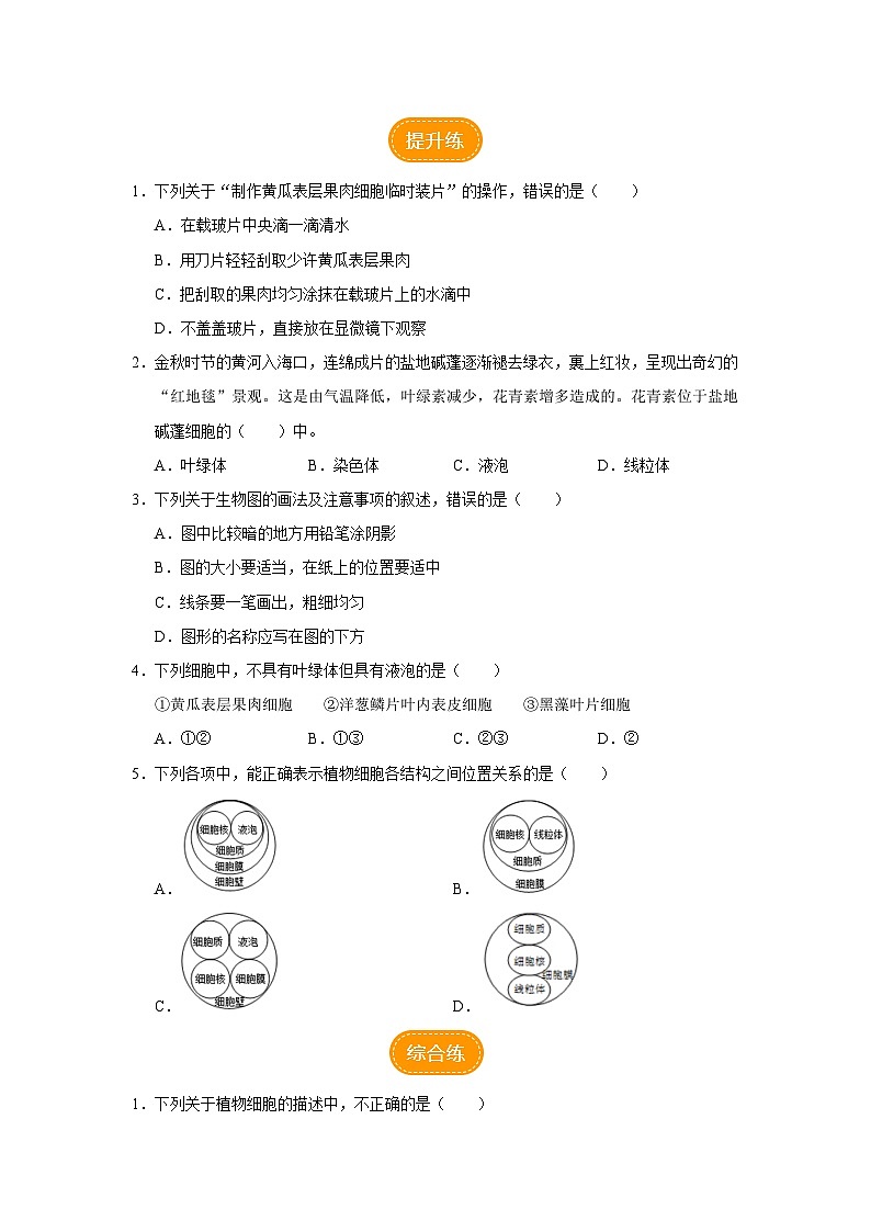 人教版七上生物   2.1.2 植物细胞（第2课时） 课件+教案+练习+导学案02