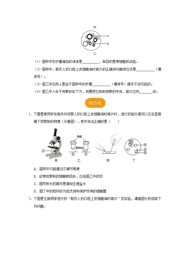 人教版七上生物   2.1.3 动物细胞 课件+教案+练习+导学案03