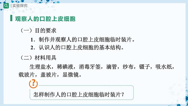 人教版七上生物   2.1.3 动物细胞 课件+教案+练习+导学案03