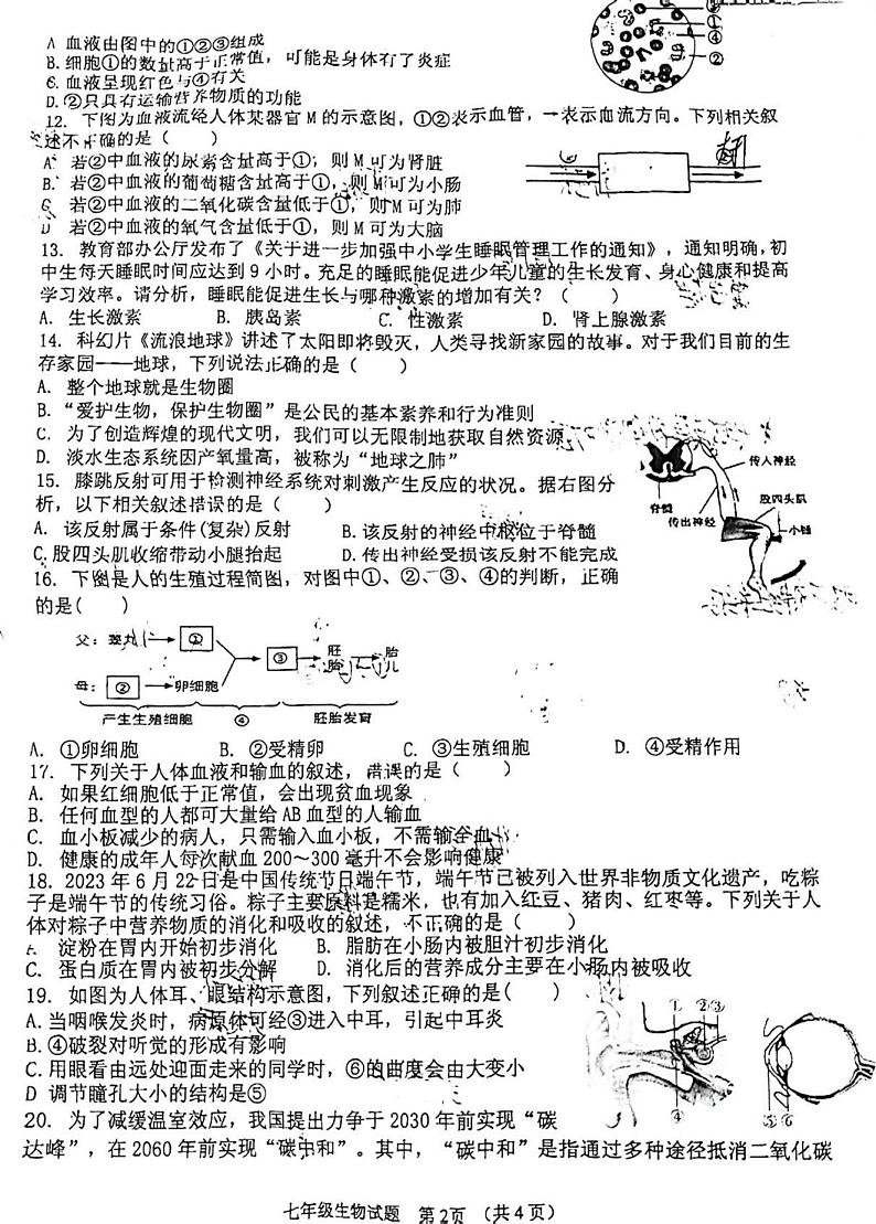 河南省信阳市罗山县2022-2023学年七年级下学期6月期末生物试题第2页