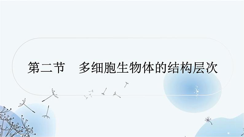 人教版中考生物复习主题二生物体的结构层次第二节多细胞生物体的结构层次练习课件第1页