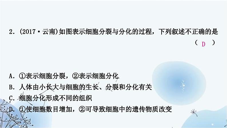 人教版中考生物复习主题二生物体的结构层次第二节多细胞生物体的结构层次练习课件第4页