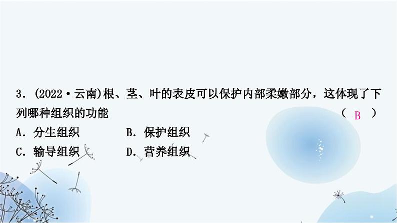 人教版中考生物复习主题二生物体的结构层次第二节多细胞生物体的结构层次练习课件第5页