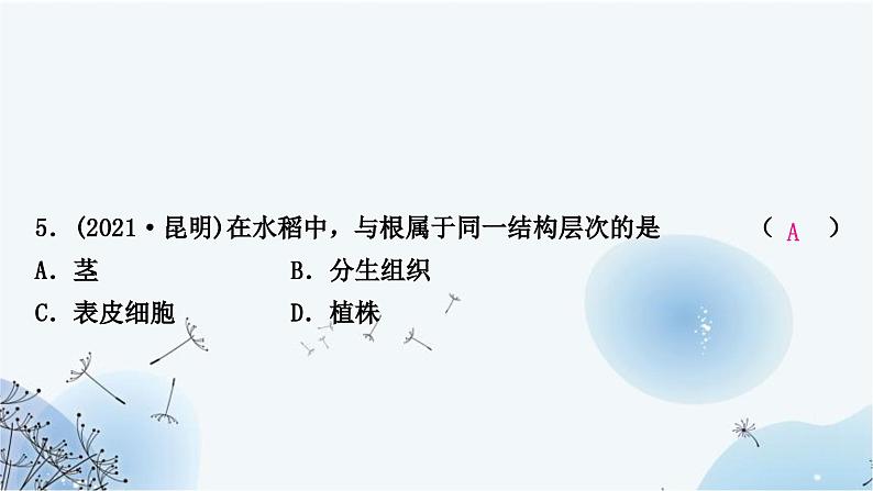 人教版中考生物复习主题二生物体的结构层次第二节多细胞生物体的结构层次练习课件第7页