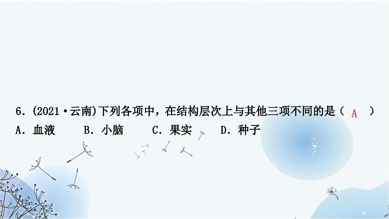 人教版中考生物复习主题二生物体的结构层次第二节多细胞生物体的结构层次练习课件第8页