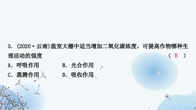 人教版中考生物复习主题三生物圈中的绿色植物第三节绿色植物的光合作用和呼吸作用练习课件05