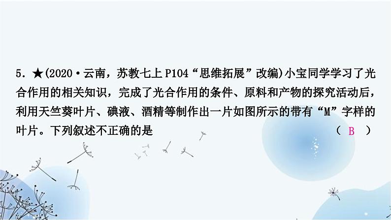 人教版中考生物复习主题三生物圈中的绿色植物第三节绿色植物的光合作用和呼吸作用练习课件07