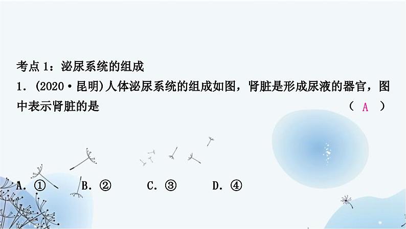 人教版中考生物复习主题四生物圈中的人第四节人体代谢废物的排出练习课件第3页