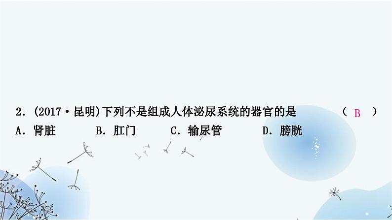 人教版中考生物复习主题四生物圈中的人第四节人体代谢废物的排出练习课件第4页